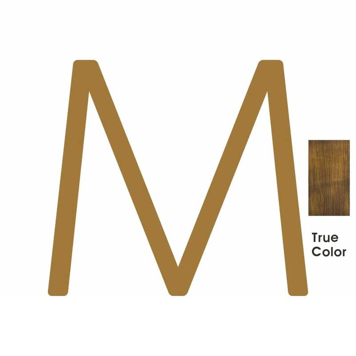 DARCY Solid Antique Brass House Letter M