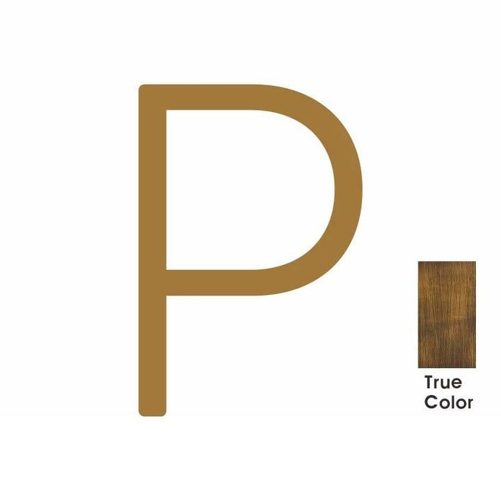 DARCY Solid Antique Brass House Letter P