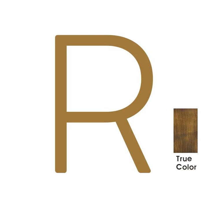 DARCY Solid Antique Brass House Letter R